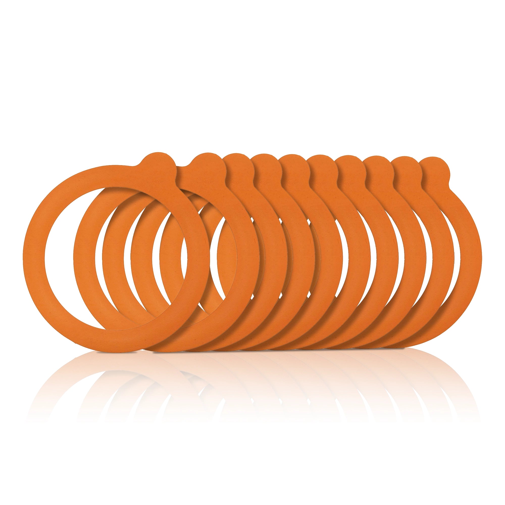 Le Pratique - Universele Rubberringen voor Weckpot - 70mm - Set van 10 - productfoto miniatuur